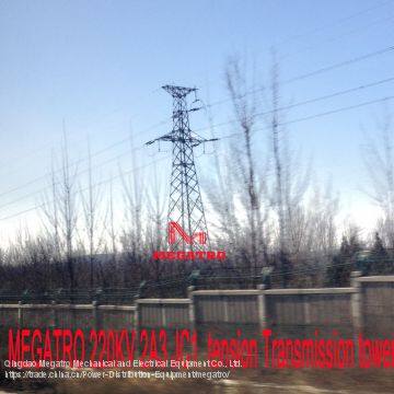 MEGATRO 220KV 2A3 JC1 Tension Transmission Tower photo-4