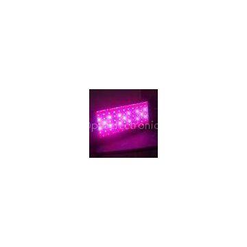 LED Grow Light 300W Grow Light