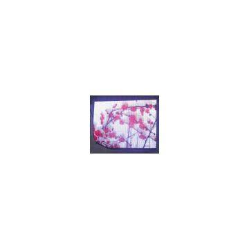 P20mm Soft LED Display