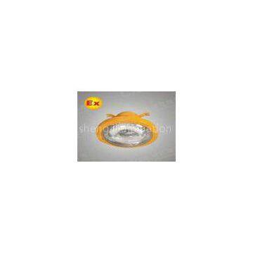 CE Explosion-Proof  Light , Aluminum Alloy Electrode-Less Lamp 6500lm 80w for industrial workplace
