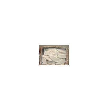 Sell Frozen Illex Squid Frozen Seafood Seafood Squid
