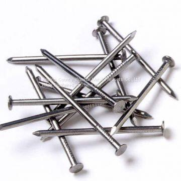 Common Round Nail photo-2