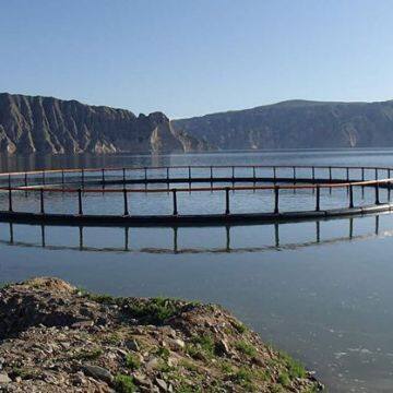 Square Floating Net Cage Anti Stormy Waves