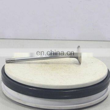 3417713 Exhaust Valve for Cummins Cqkms L10G3.GEN.DR(330) L10 Diesel Engine Spare Parts Manufacture Factory in China