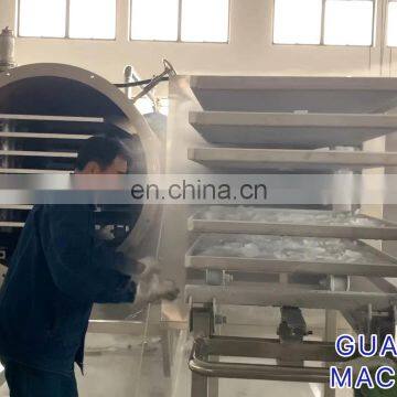 Freeze Drying Machine For Fruits Processing Industrial Lyophilizer