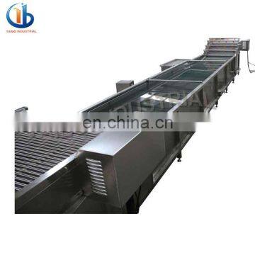 Vegetable and Fruit Washing Machine Industrial Washer Type Food Machine