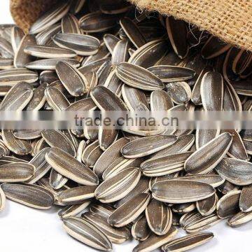 High quality Sunflower Seed