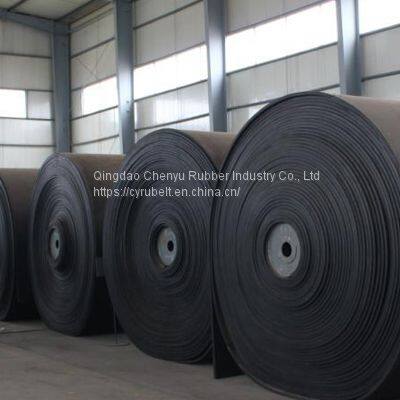 Heat Resistant Conveyor Belt / EP Conveyor Belt/ Conveyor Belt photo-2