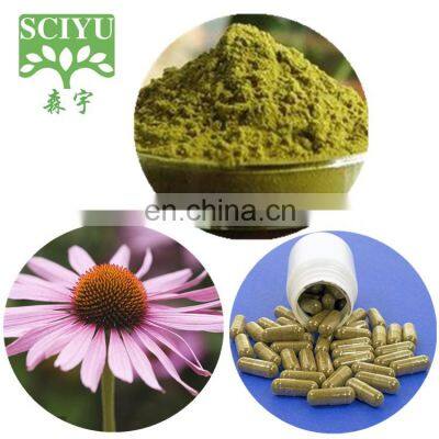 Bulk 4% Polyphenol Echinacea Purpurea Extract Powder photo-4