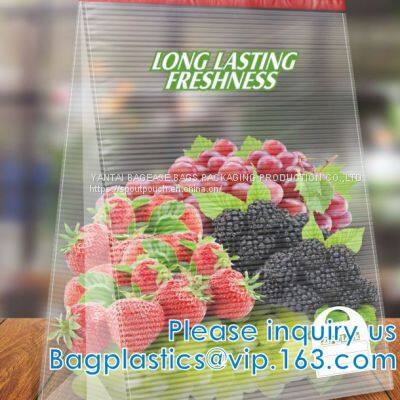 Zipper Lock Leakproof Reusable Storage Pouches For Zip Food Storage Lock Packaging With Tear Notches photo-4