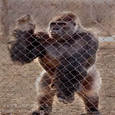 Stainless Steel Wire Rope Mesh Fence for Zoo With Plain Weave Diamond Hole Shape Bending photo-5