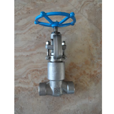 ANSI/API 150-1600LB Forged Steel Carbon Stainless Steel Welded Socket High-Temperature/Pressure Globe Valve for Power Station photo-4