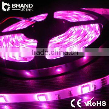 Jiangmen Manufacturer SMD5050 Chips DC12V Floor Light LED Strip Lighting