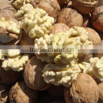 Inshell Walnuts, Shelled Walnuts