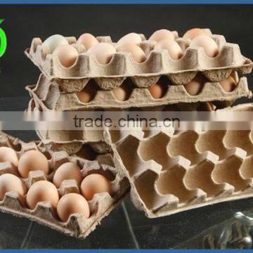 Pulp Molding Egg Tray Machine photo-4