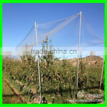 Yemen Selvage Anti Hail Net /100% Virgin HDPE Knitted Anti Hail Net photo-4