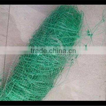 100% PP Plastic Stetching Net for Manufacturing/deer Fence photo-5