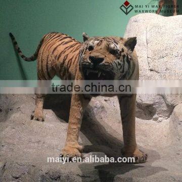 Customed Life Size Tiger Animal Statues for Exhibition