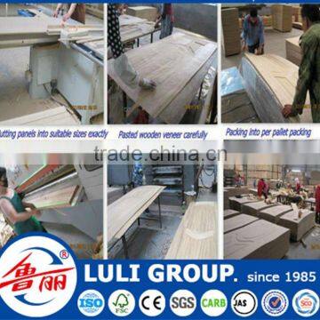 4.2mm Melamine Door Skin in LULI Group