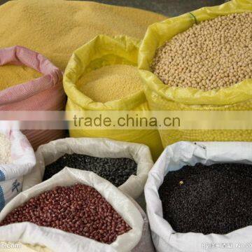 Shanghai TOPS Powder/granule Filling Machine photo-5