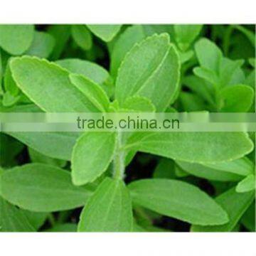 100% Natural Stevia extract powder RA80%