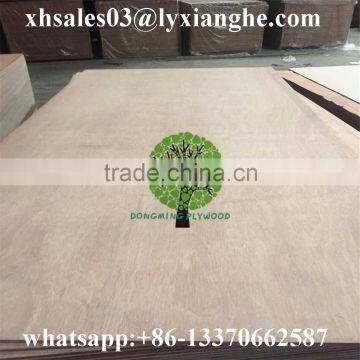 WBP Plywood Full Keruing Plywood 28mm