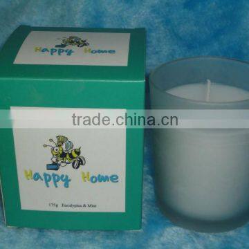 Eucalyptus & Mint Scented Cheap Candle in glass jar and gift box