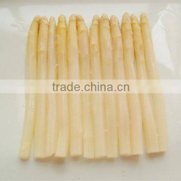 factory supply canned white asparagus of good quality