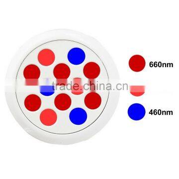 China Manufacturer Led Grow Light 24 Watt E26 E27 Socket for Home Plant