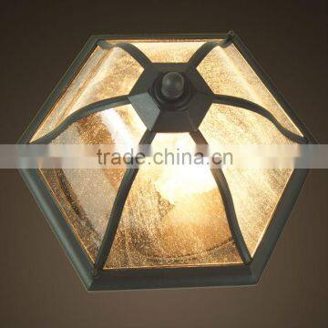 modern design flower shaped outdoor ceiling lamp and lantern (5615)