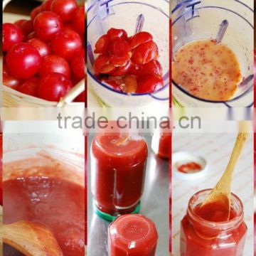 Commercial Use Fruit Pulper For Sale