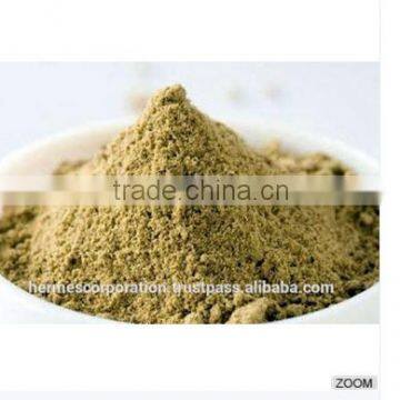 Best Quality Coriandrum Sativum Powder photo-3