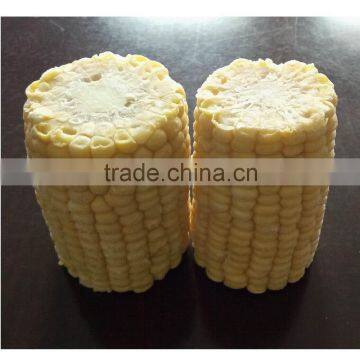 Supply Frozen sweet Corn Cob Cut Cob