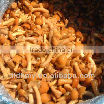 314ml marinated nameko mushroom canned in brine