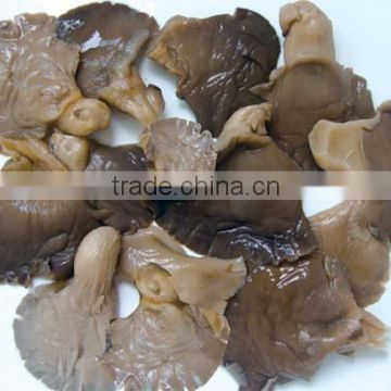 Grey oyster mushroom in brine