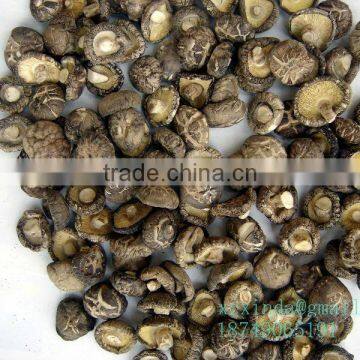 dried white mushrooms