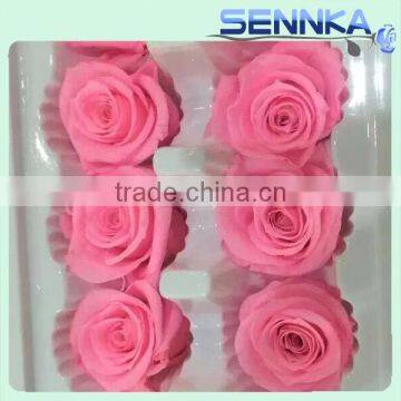 2016 Fashionable and Natural real rose preserved flowers