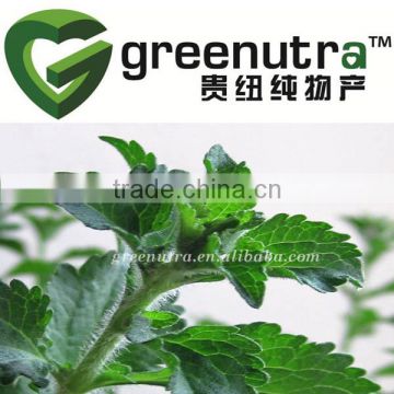 Stevia Extract Solvent Extraction Plant Extract