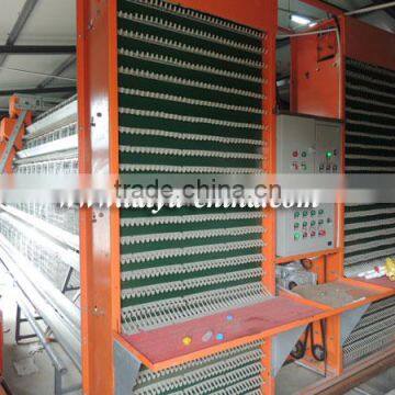 TAIYU Layer Cage with Egg Collecting System