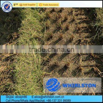 Whirlston Harvesting in Indonesia High Quality Low Price of Middle Rice Paddy Harvester photo-6