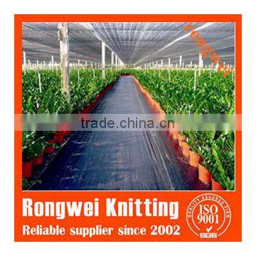 Black and Green Ground Cover photo-4