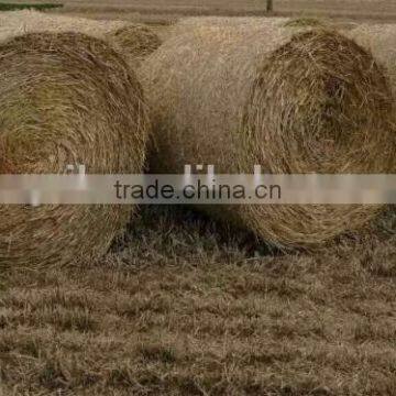 New Style High Working Efficiency Tractor PTO Use Hay Round Baler Straw Baler Machine Grass Round Baler photo-3