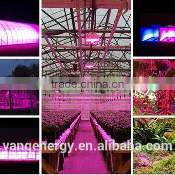 Wifi Controller LED Grow Light 30w For Greenhouse Project New Technolgy Smart LED Lighting