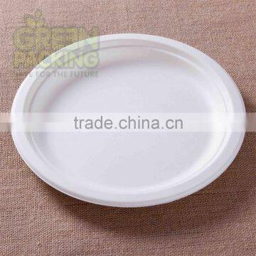 9 Inch Disposable Biodegradable Sugarcane Plates P013 photo-3