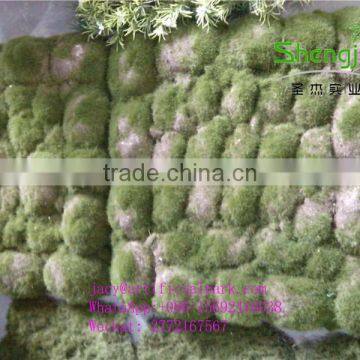SJLJ01108 High Quality Artificial Moss Mat for Decoration photo-3