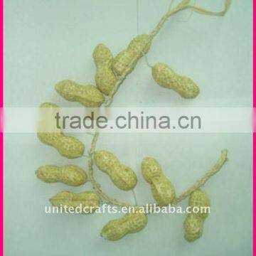 NEW ARRIVAL---2011 New Design Most Popular Natural fruit and vegetable christmas decoration