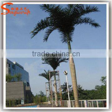 90% Similation Hot Market Price of Artificial Outdoor Fake Coconut Palm Tree Decoration photo-3