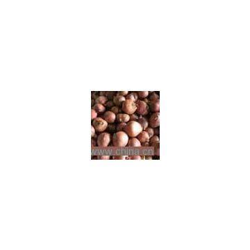 Sell Shallot