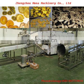 Mushroom Chili Garlic Yam Black Pepper Turmeric Chilli Drying Machine