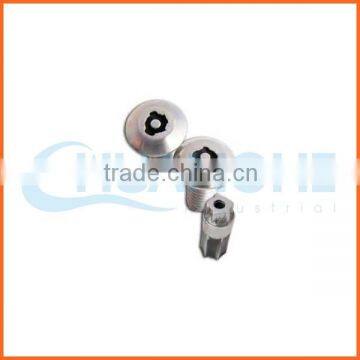 China supplier anti-theft screw with key